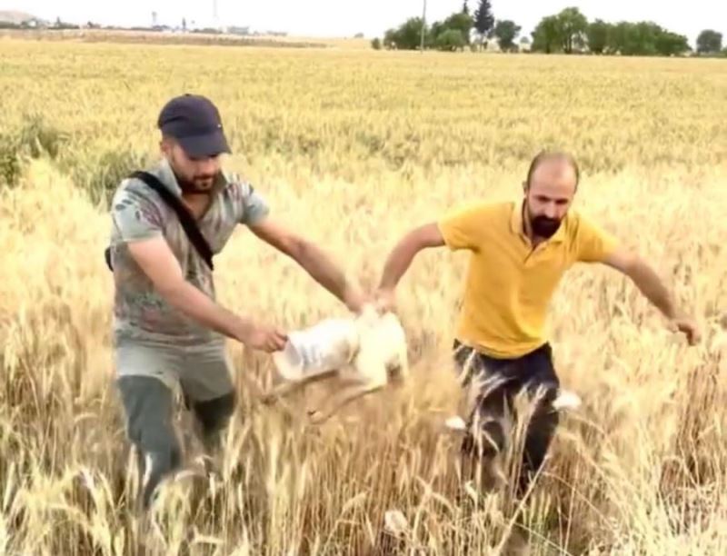 Kızıltepe’de başı bidona sıkışan köpeği kurtardılar