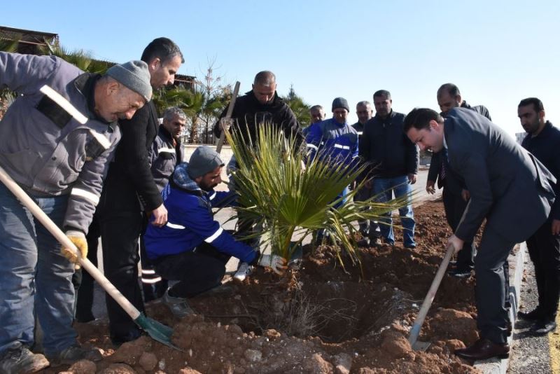 Nusaybin