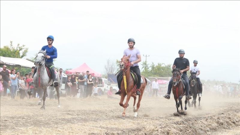 Rahvan at yarışlarına Mardin