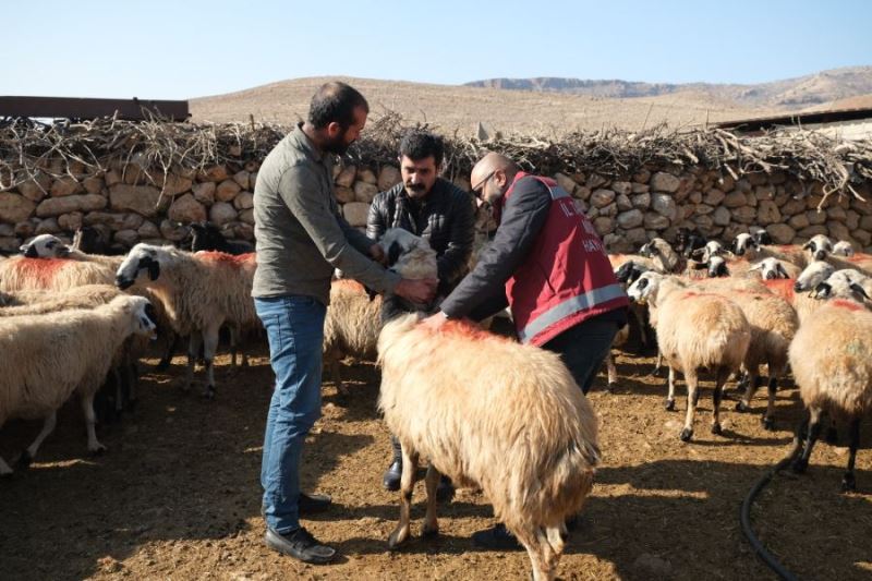 Kızıltepe Halk Eğitimi Merkezi köylerde yaşama dokunmaya devam ediyor