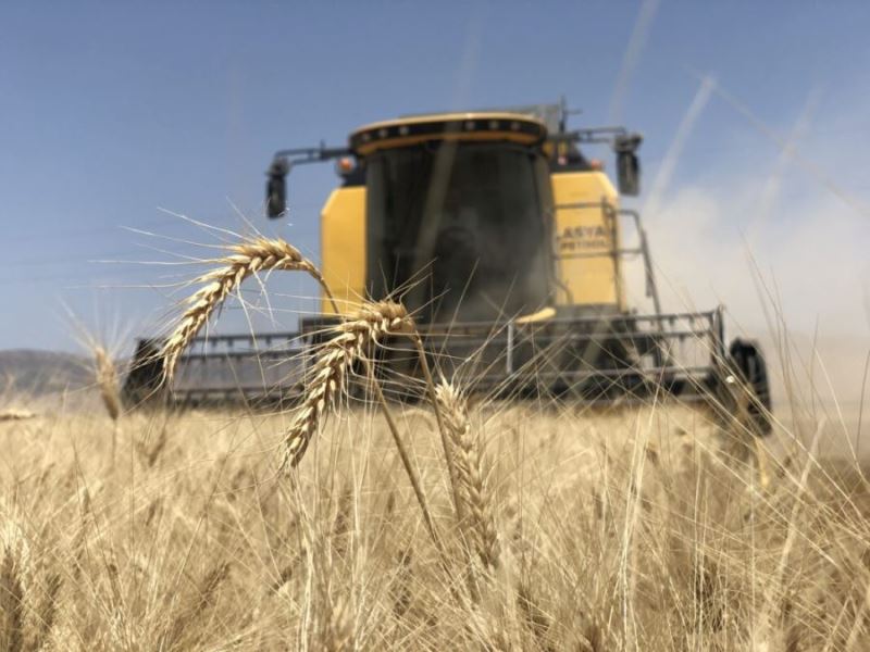 Mardin’de kuru ve sulu alanda biçerdöver fiyatları ne oldu?