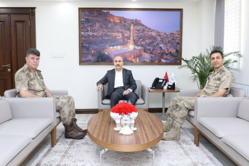 Tümgeneral Sel ve Tuğgeneral Tataroğlu, Mardin Valisi Demirtaş