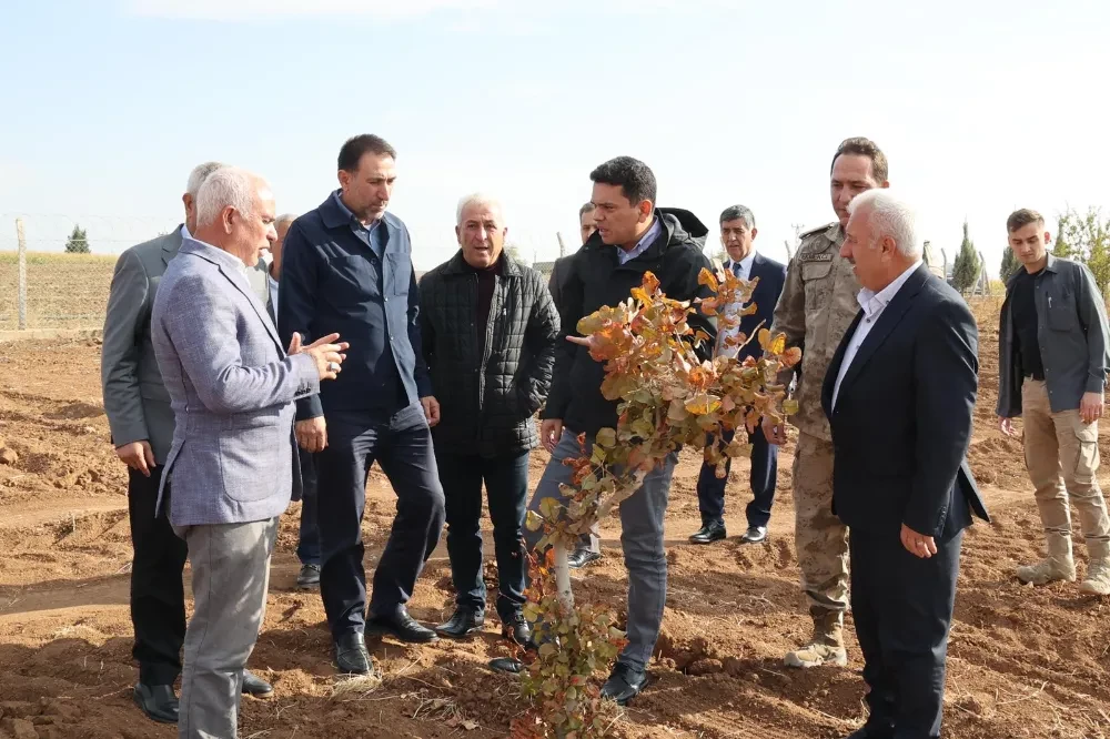 Kaymakam Abdullah Şahin fıstık bahçelerini gezdi