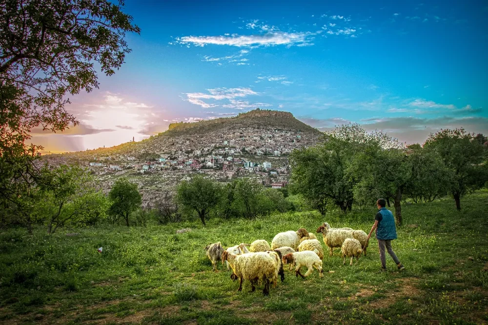 Mardin’de II. Uluslararası Mezopotamya Turizm Kongresi Yapılacak