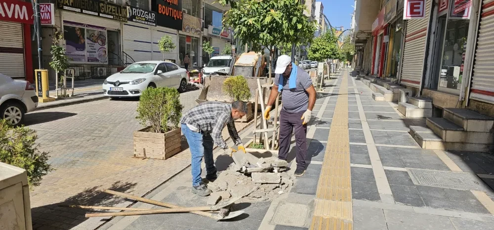 Yol yapım, bakım, onarım ve çevre düzenlemesi