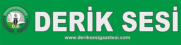 deriksesigazetesi